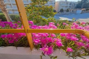 Amalia's house, Hanioti