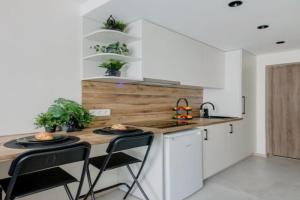 Green Apartment, Vilnius