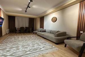 Modern style apartment on the Haydar Aliyev center, Baku