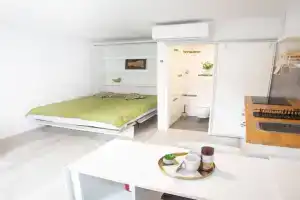 Apartment Studio Green, Ljubljana