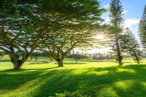 Kapalua Golf Villas 2 Free Rental Cars KBM Resorts Beautiful Remodel 2 Units 4 Bedrooms ML-1129, Kapalua