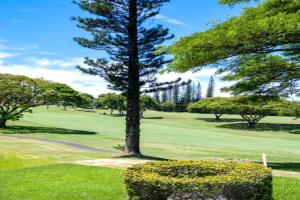 Kapalua Golf Villas 3 Free Rental Cars KBM Resorts Beautiful Remodel 3 Units 6 Bedrooms ML-1199, Kapalua