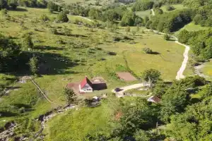 Cottage by the brook, Pluzine