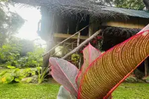 Sigiri Veenus Tree House, Sigiriya