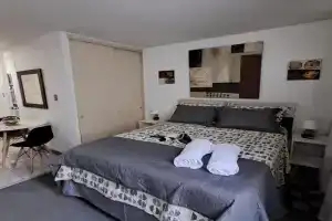 Departamento tipo estudio, cercano al Movistar Arenas y Teatro Caupolican, Santiago