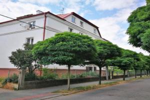 Velký byt se dvěma ložnicemi, zahrada, Wifi zdarma Apartments, Hradec Kralove