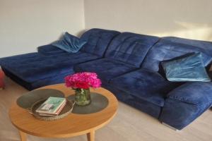 Pušų lašas apartamentai, Birstonas