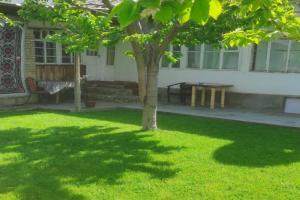 HOSTEL TaSmIn MeHr ReGiStAn, Samarkand