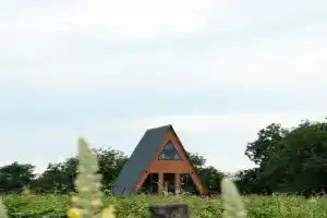 Akido Guest house, Kvareli