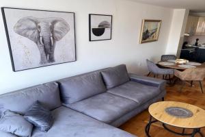 DarViva Apartment Niš, center, private garage parking, river view, Nis