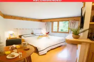 Clouds Studio Alpin Luxury Cozy and Pool, Villars-sur-Ollon