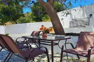 Blue Acacia in Guest house, Alinda