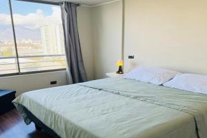 Vicuña Mackenna - Metro Rodrigo de Araya Apartments, Santiago