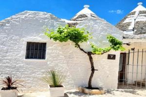 Panoramic Terrace Guest house, Alberobello