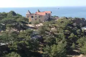 Thassos Forrest View Apartment, Limenaria