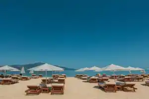 Hotel 4Palmat, Orik