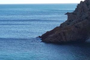 B&B Blueberry via Capri Porto Frailis Mini-hotel, Arbatax