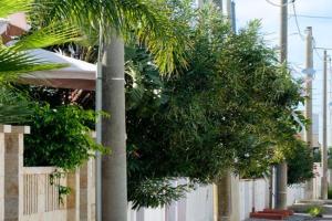 Residence Salù Guest house, Lido Marini