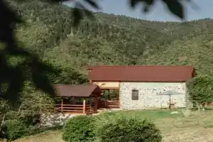 Sakartvelo Soul Villa, Borjomi