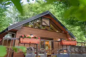 Mountain harmony Lovćen Guest house, Cetinje