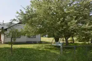 Rest House Tara, Mojkovac