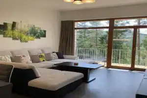 Lipno Port Apartment A303 - Lipno Home, Lipno nad Vltavou