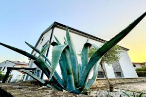 Apartma Lavanda Portorož, Piran