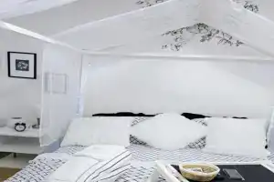 Charming Beautiful Private Room With Private Bath and Parking! Near Metrotown, Burnaby