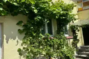 XXL Mega House 24 7 Check In, Kelkheim