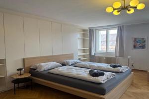 cozy big old town apartment, Klagenfurt