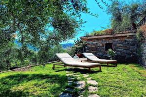 Almarea, a house between the sea and olive trees, Imperia