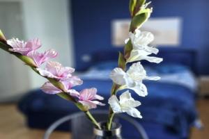 W Ustce Lipa by Zilla Guest house, Ustka