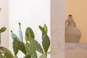 Corte dei Nobili Apartment, Conversano