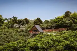Cozy Cottage In Makhindjauri with Forest and Sea Views, Makhinjauri