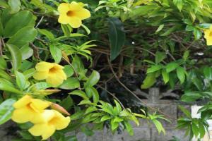 ごーやー荘 Hotel, Okinawa City