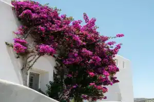 Naxos Homey Villa with Sea View, Kastraki Naxou