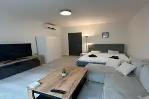 Ubytování v centru Brna u hlavního nádraží s garáží Apartments, Brno