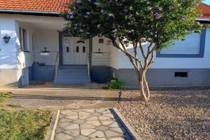 Home Well Apartman Vranje, Vrane