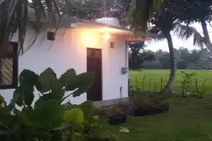 Dream Nature Villa, Weligama