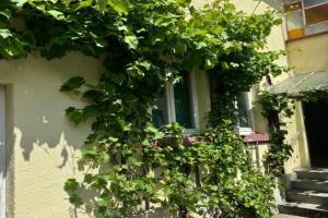 HS4 Cozy Unit Apartments, Kelkheim