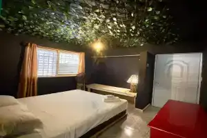 Bed-Breakfast lunch Tropical Private-room, Samana