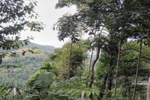Ella nature hostel, Ella