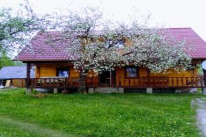 Sadiba Trembita Apartments, Pylypets