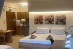 Central studio D1, Volos