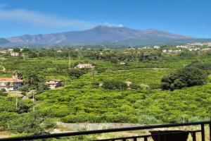 Casa Egle - Between Etna and the sea, Riposto
