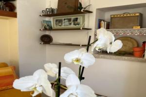 Casavacanze Salento Spani, Veglie