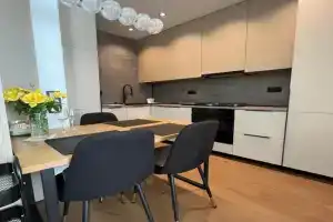 New apartment near the PALM tree, Uzhgorod