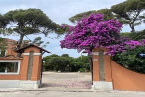 Casa Del Borgo - Midi - Primo Piano, Civitavecchia