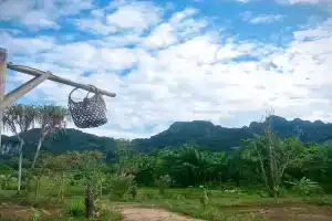 Khaosok Eco House, Khao Sok