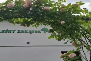 Leśny Zakątek Guest house, Wisla